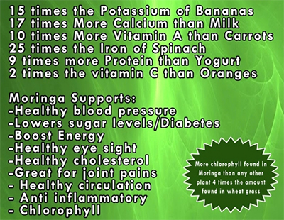 Moringa Info Banner
